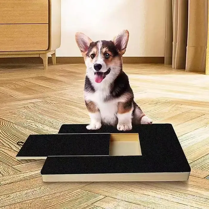 Planche à gratter réglable en bois pour chien
