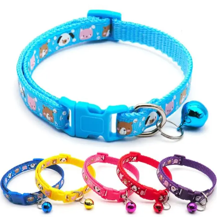 Collier pour chien à la mode