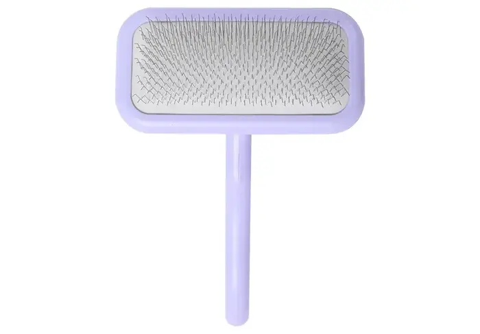 Brosse de toilettage professionnelle pour animaux de compagnie, poignée double ton, peigne à dents e