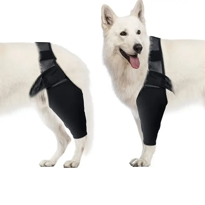 Genouillère pour chien de compagnie, pour douleurs articulaires, douleurs musculaires, attelle de ja