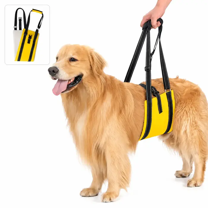 Harnais de levage réglable pour chien, support pour pattes arrière, aide à la mobilité pour animaux 