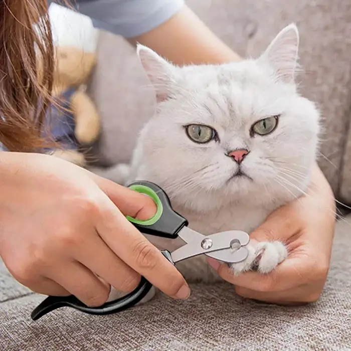 Coupe-ongles pour animaux de compagnie
