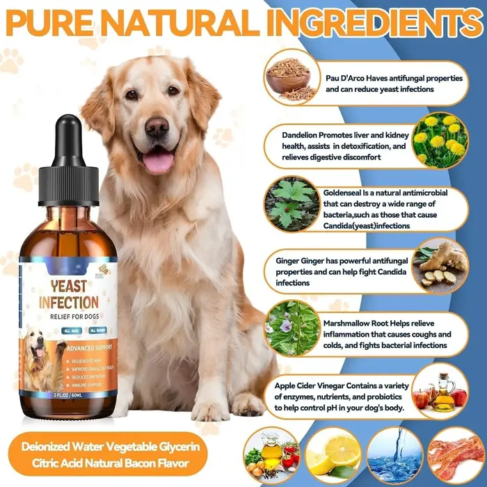 Compléments naturels de levure 60 ml pour chiens : Soulagement des démangeaisons
