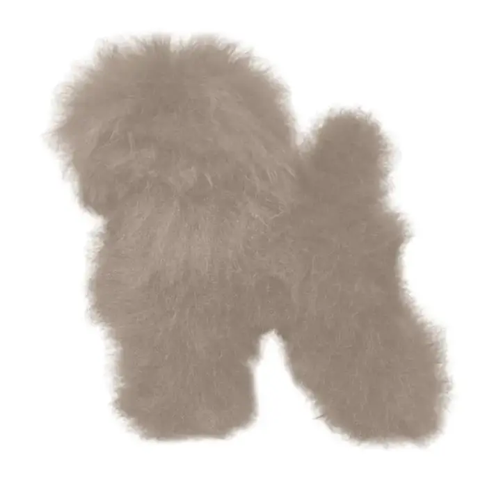 Poils synthétiques toilettage pour chiens, modèle squelette complet du corps pour pratique professio
