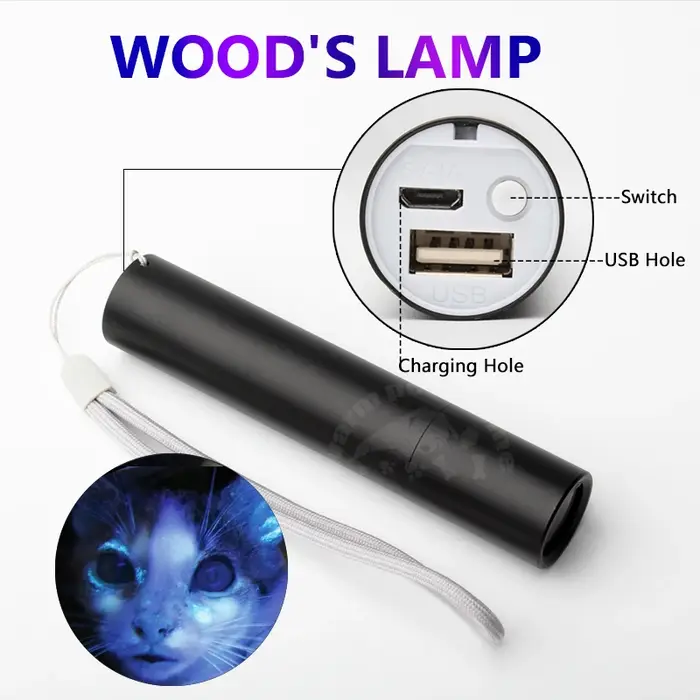 Lampe en bois lampe de détection de champignons peau lumière ultraviolette chat chien mousse Tinea l