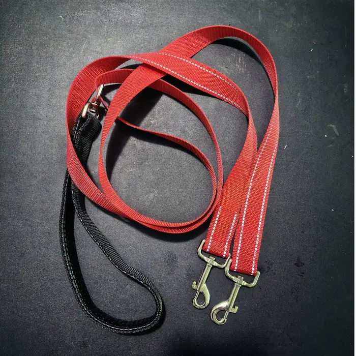 Laisse double pour chien