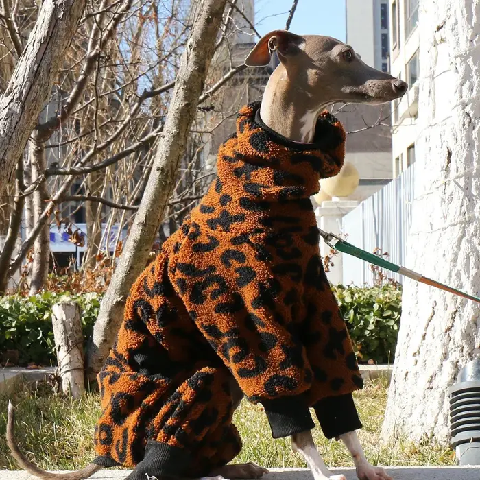 Manteau léopard en polaire marron pour chiens mi-grands, sweat-shirt rose chaud à quatre jambes pour