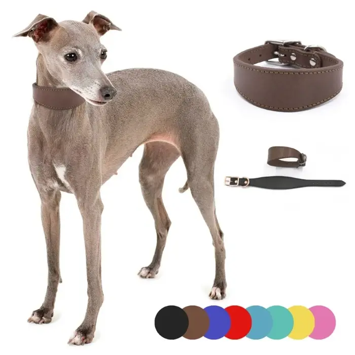 Collier en cuir pour chiens de grande race
