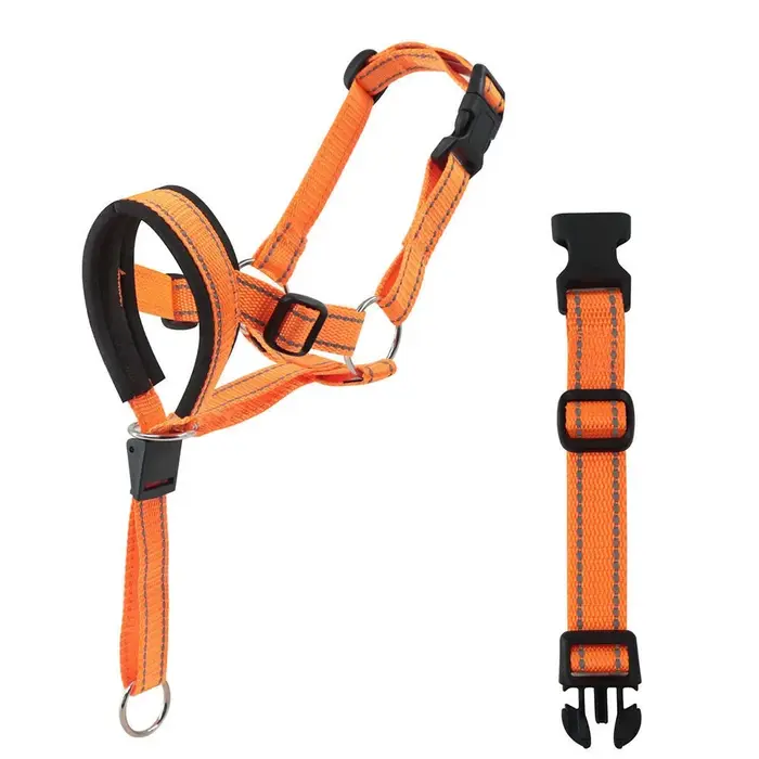 Couvre-bouche de Traction pour chien, entraînement avec anneau de nez pour le contrôle des mémois, c