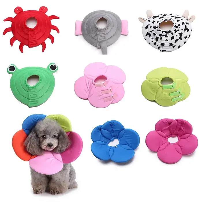 Collier de chirurgie pour chien