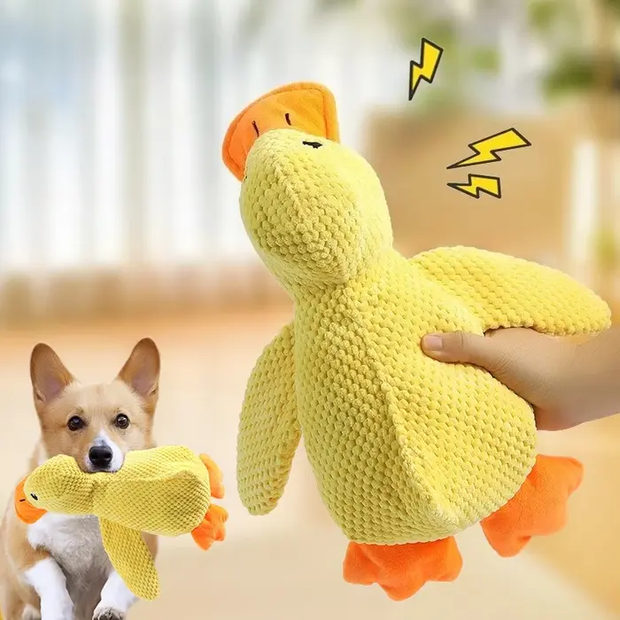 Chien résistant aux morsures dents meulage soulagement du son canard son jouet en peluche compagnon dormir