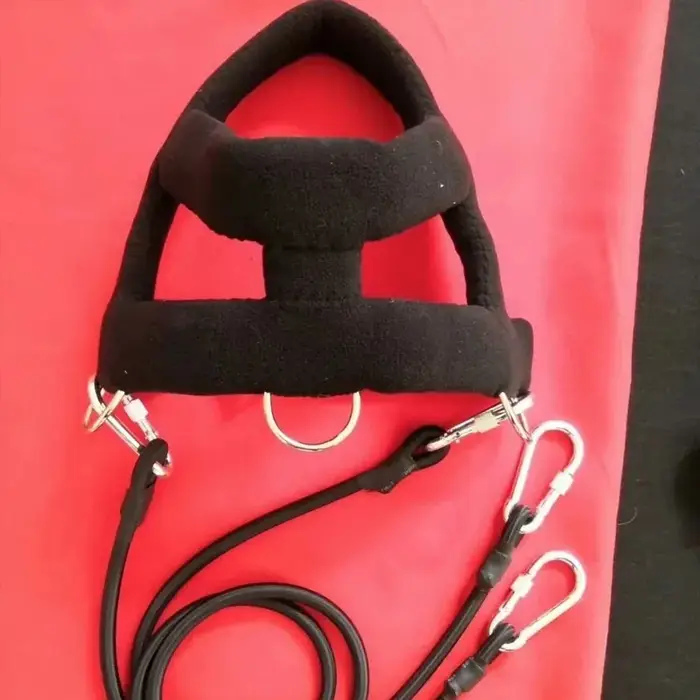 Harnais de traction pour chien avec laisse, rembourré et doux, pour traîner des chiens, harnais de t