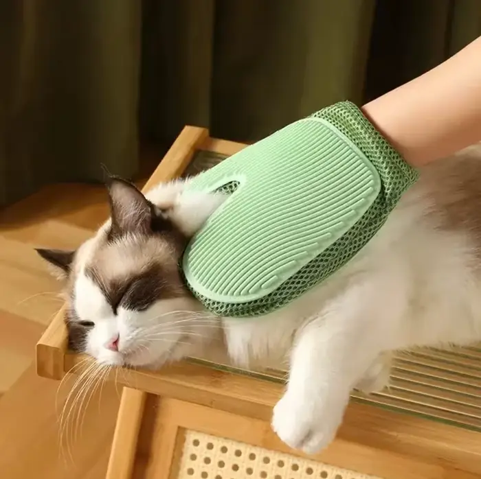 Gant anti-poils pour animaux de compagnie