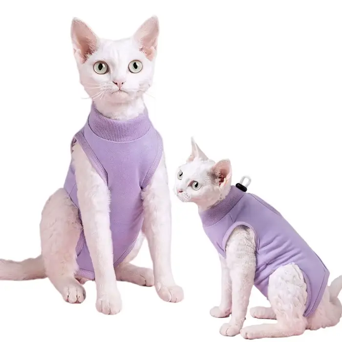 Vêtements pour chat, combinaison de récupération pour petit chien