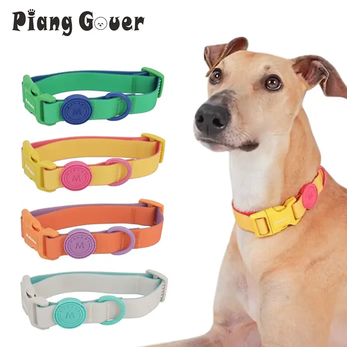 Collier pour animaux de compagnie pour chiot et petit chien