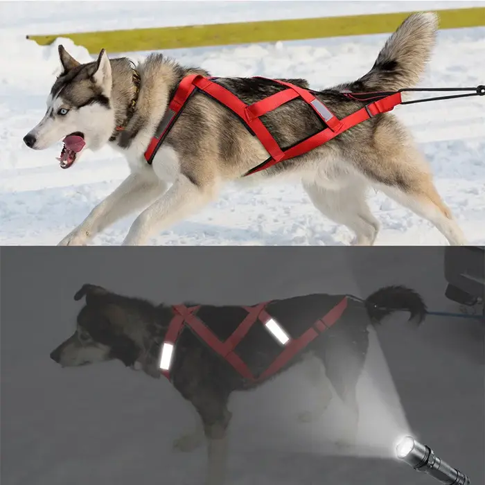 Harnais de traîneau réfléchissant en nylon pour chiens d'Alaska de taille moyenne à grande adapté aux courses et au ski pour une sécurité maximale