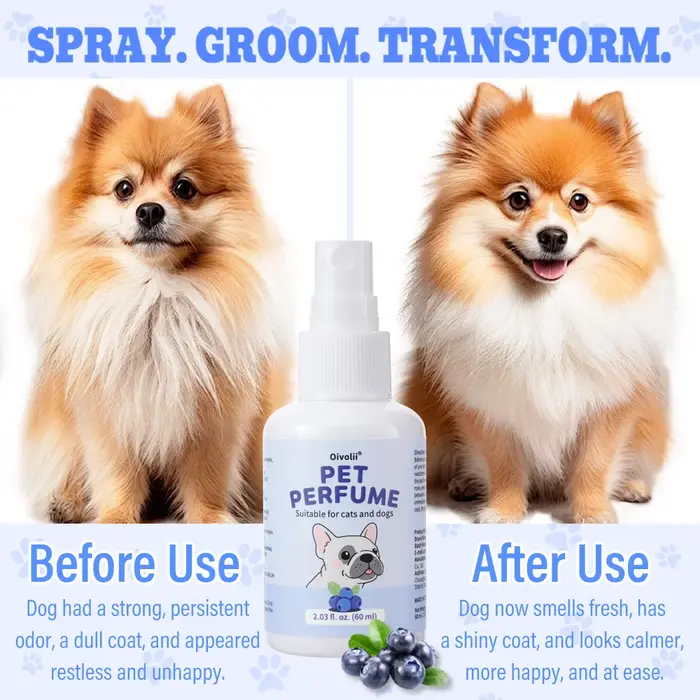 Spray désodorisant pour chiens et chats parfum naturel de myrtille format voyage senteur fraîche pour l'entretien hygiène des animaux de compagnie occasionnels
