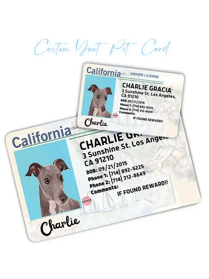 Carte personnalisée pour chien, carte PVC pour animal de compagnie, carte d'identification personnal