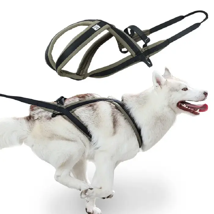 Ensemble de harnais et de laisse pour chien d'extérieur, pour chiens de taille moyenne et grande, ad