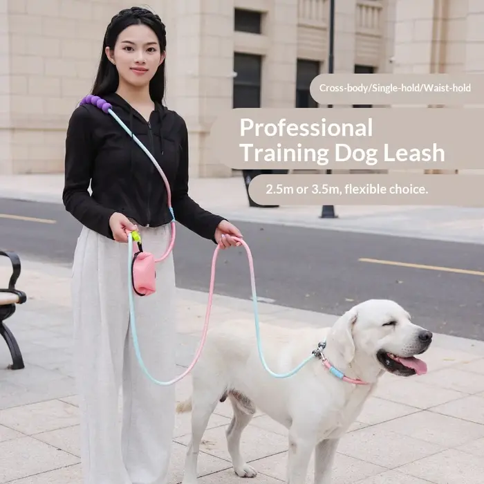 Laisse de chien bandoulière pour entraînement de compétition colorée anti-explosion pour la taille collier pour chien occassions spéciales
