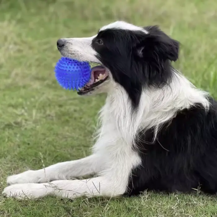 Jouet à mâcher pour chiot grinçant