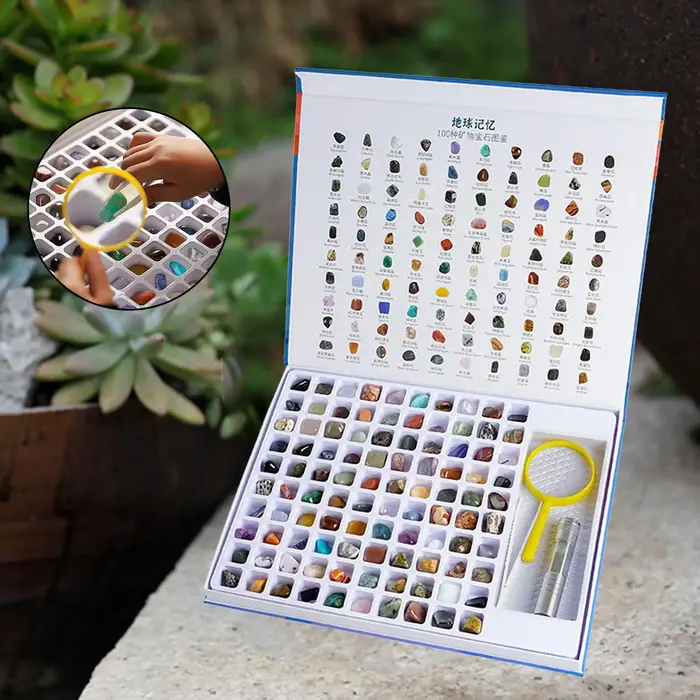 Livre de pierres précieuses naturelles pour enfants, collection de pierres précieuses, kit de géolog