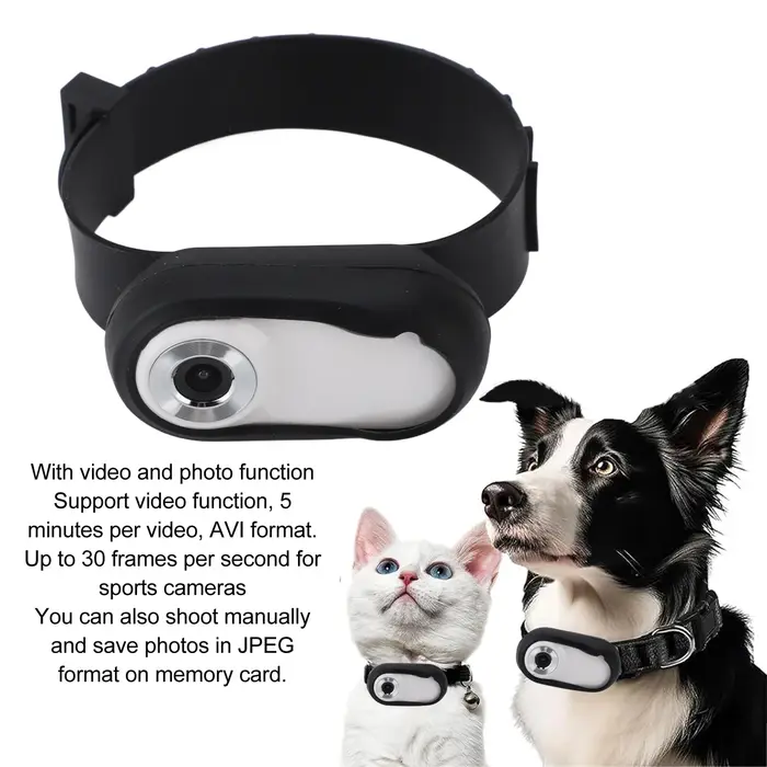 Caméra de collier d'action pour animaux de compagnie 170° avec support de carte mémoire rechargeable par USB pour chiens et chats occasions spéciales