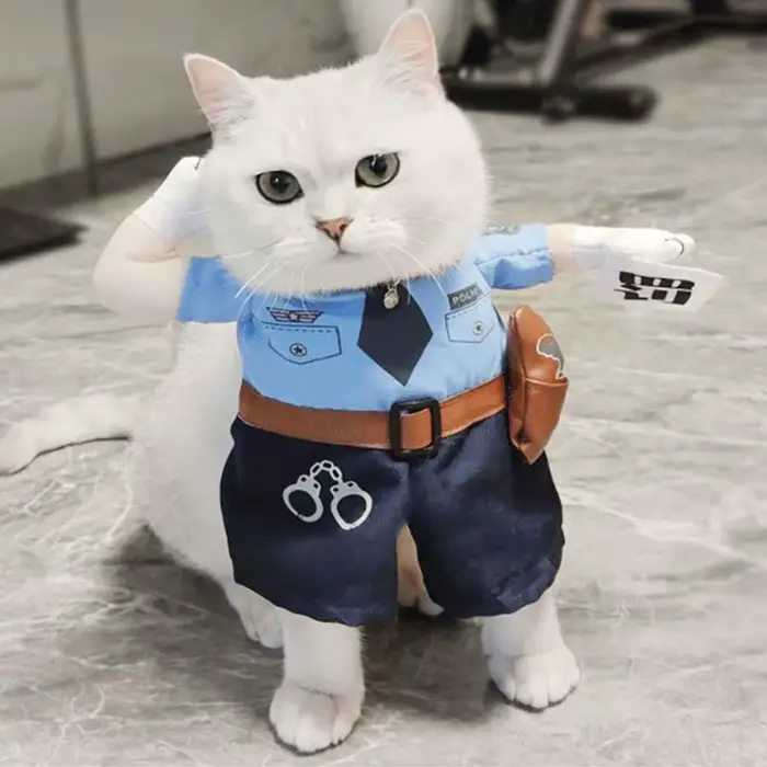 Costume de chien de police, tenue de flic de chat avec chapeau, vêtements de cosplay amusants pour a