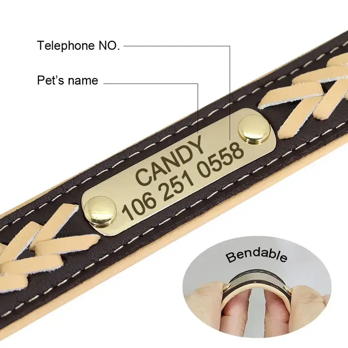Collier de chien personnalisé avec étiquette gravée