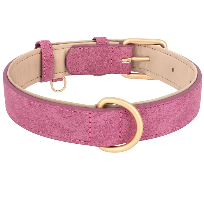 Collier en cuir pour chien, Durable, doux et rembourré, Pitbull, réglable pour petits, moyens et gra