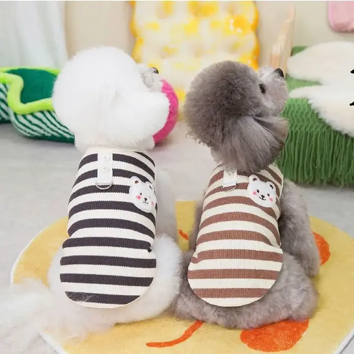 Vêtements pour chiens : Adorable gilet tricoté fin à motif d'ours avec laisse