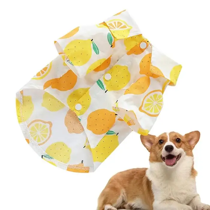 Chemise à imprimé fruits pour chiens