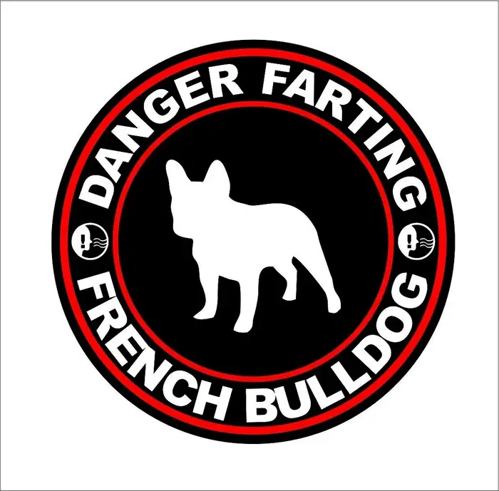 Danger Pet bouledogue français drôle, autocollant graffiti pour voiture, ordinateur portable, moto, 