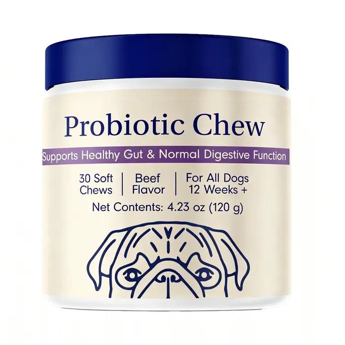 Friandises probiotiques pour chiens - Probiotiques pour chiens pour la santé intestinale, la diarrhé
