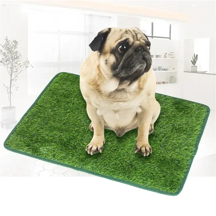 Tapis de pelouse de chien de toilette