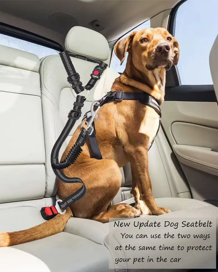 Ceinture de sécurité de voiture pour chien réglable et robuste – Grande corde de Traction pour chien