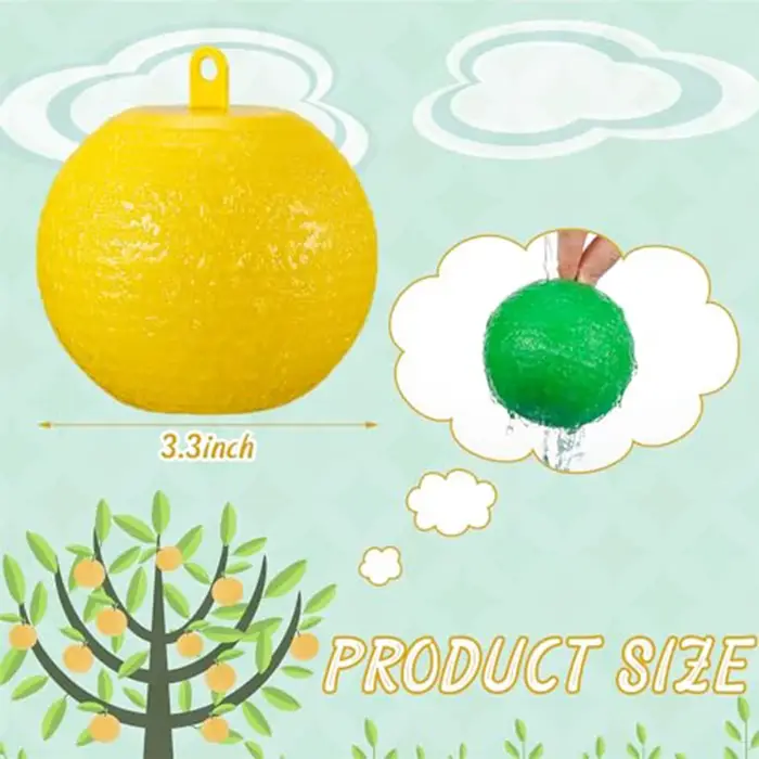 Pièges à mouches de fruits de 8cm, attrape-moustique, lutte antiparasitaire, pour intérieur et extér