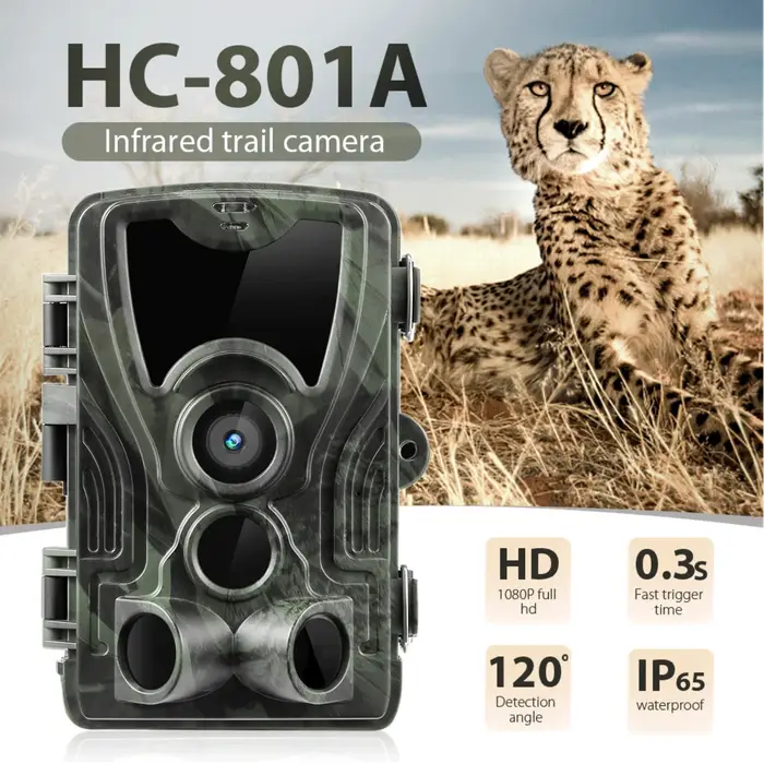 Caméra de chasse extérieure avec vision nocturne, HC80l'autorisation, caméra de repérage quelque par
