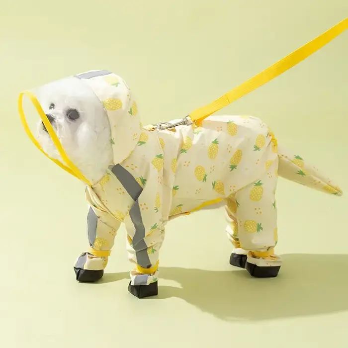 Poncho de sortie pour petit chien, imperméable pour animaux de compagnie à quatre pattes, tout compr