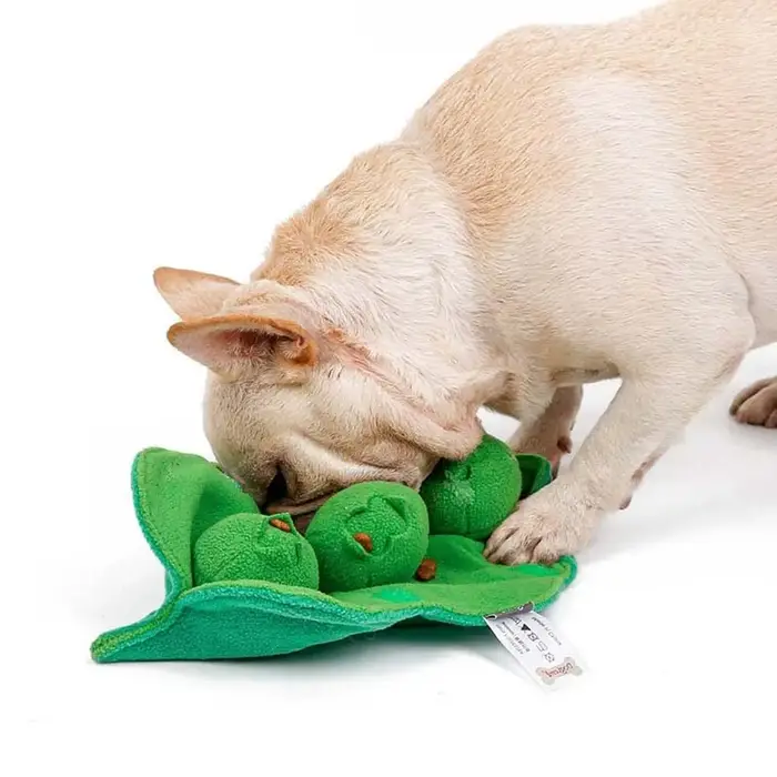 Bol à reniflage pour petits et grands chiens