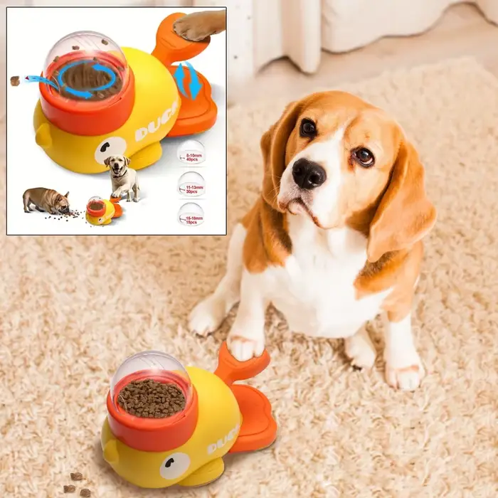 Distributeur de nourriture pour chien