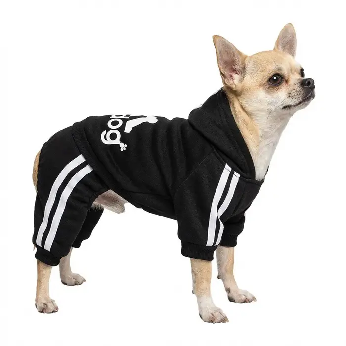 Sweat à capuche classique pour chien