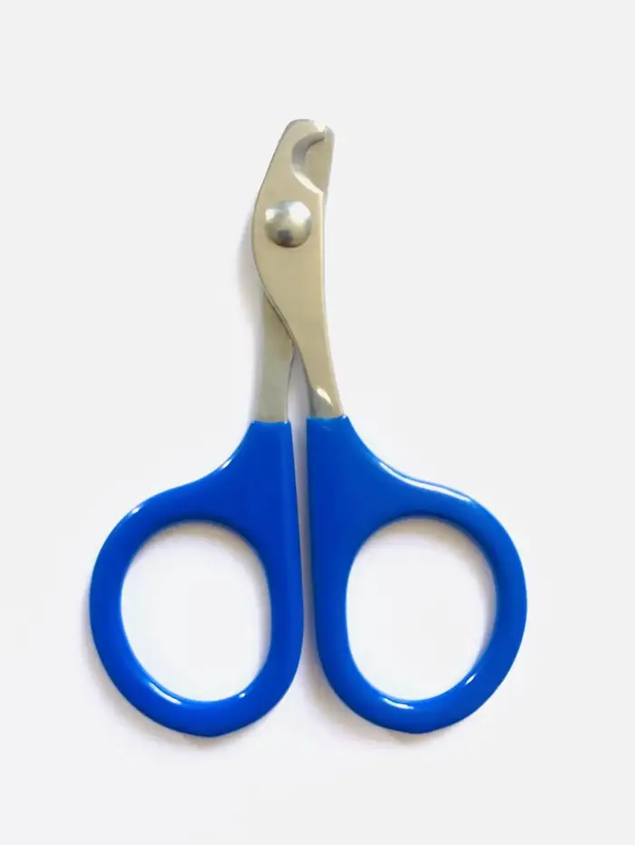 Ciseaux à ongles professionnels pour chat, coupe-ongles pour chien, coupe-ongles pour orteils, fourn