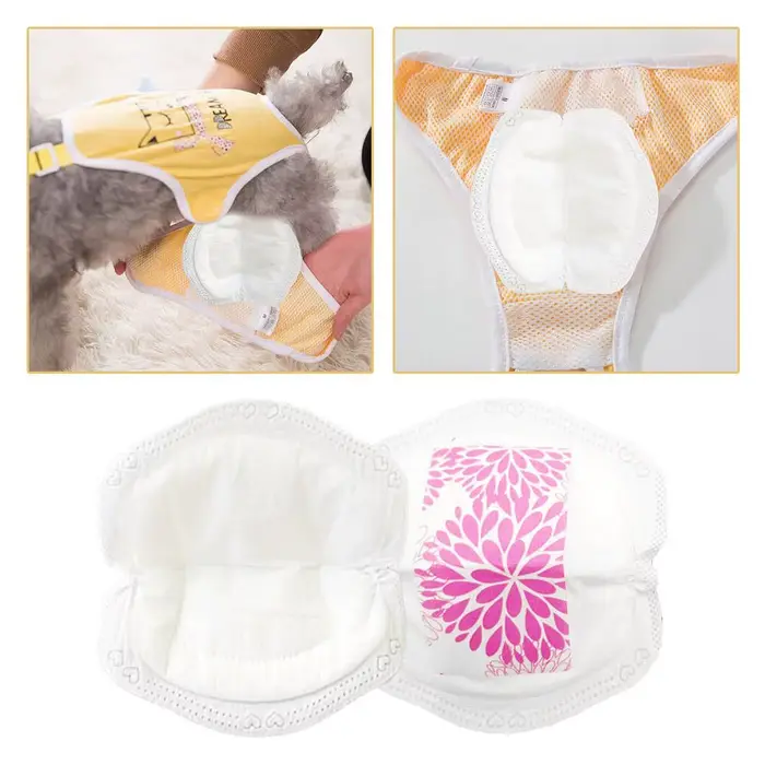 Culottes absorbantes jetables pour chien femelle – Protection hygiénique post-stérilisation