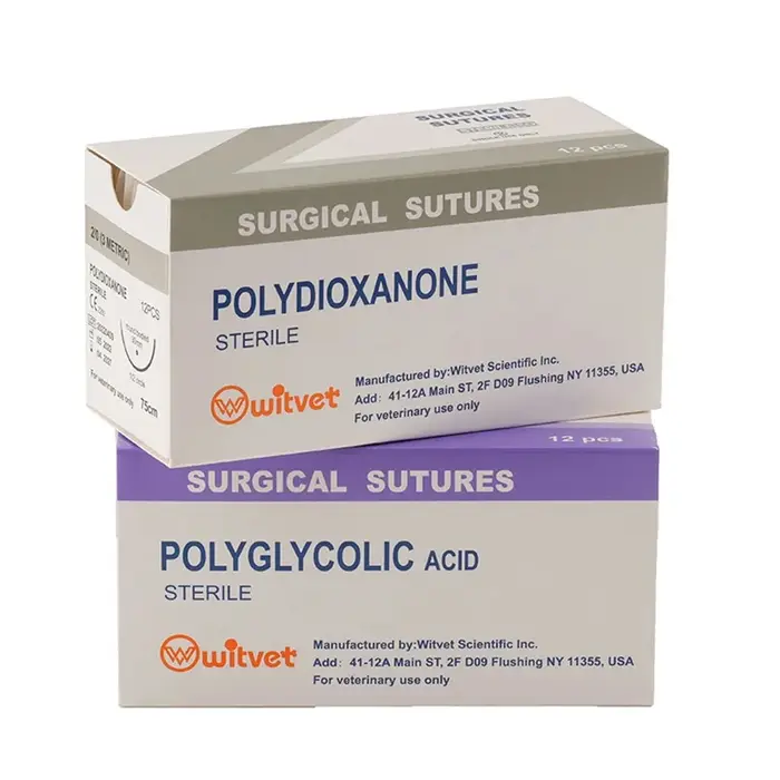 Fil de Suture Absorbable pour Chien de Compagnie