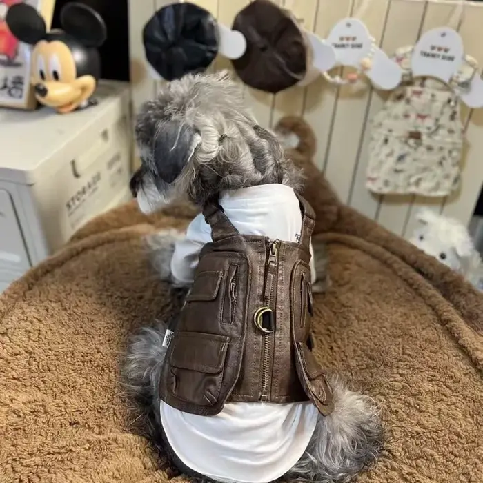 Printemps chiens vestes de luxe concepteur Schnauzer petites chiens de race vêtements Bichon Teddy v