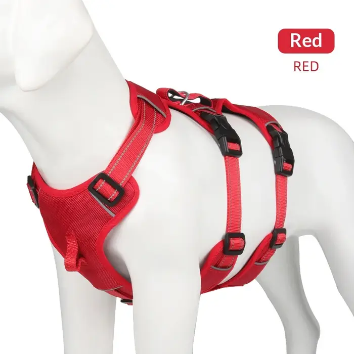 Harnais anti-évasion pour chien, harnais pour chien de grande taille, laisse en tissu oxford, fourni