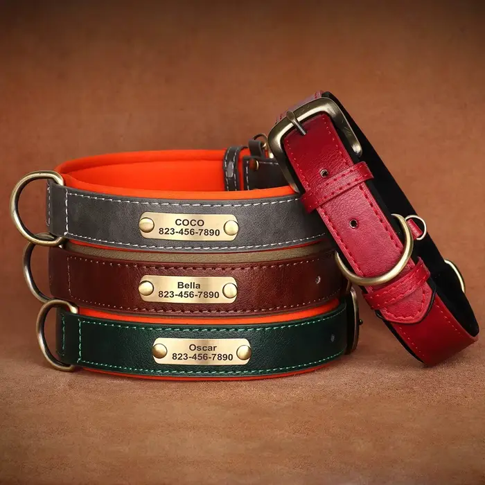 Collier pour chien personnalisé en cuir avec plaque d'identification