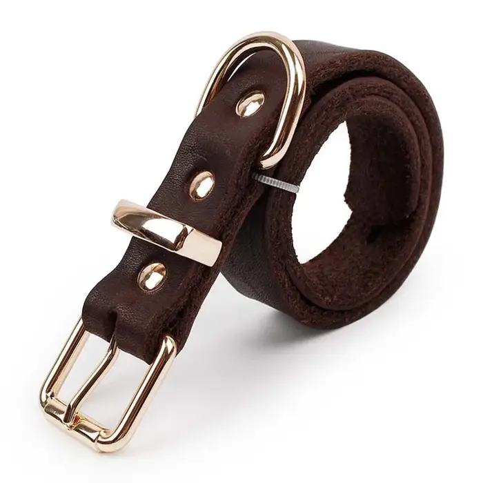 Collier de chien en cuir marron Style classique collier de chien en cuir véritable collier de chien 