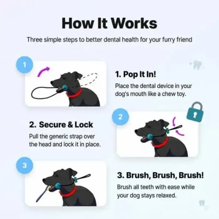 Jouet dentaire pour chien de taille moyenne brun foncé double action brossage des dents facile et jeu amusant occaions spéciales santé bucco-dentaire chiens